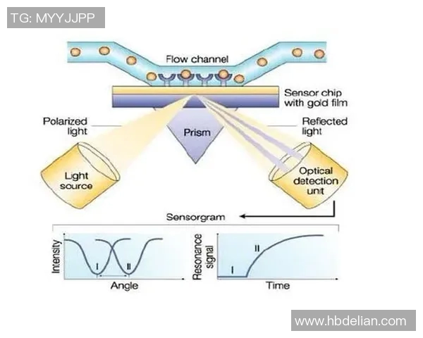 和平精英中RNG战队的整体表现分析及其对比赛结果的影响探讨 和平精英中RNG战队的整体表现分析及其对比赛结果的影响探讨