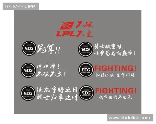 深入分析IG战队在S15赛季的区域防守策略与战术执行